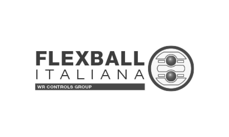 flexball italiana logo